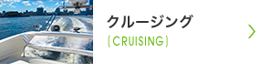 クルージング