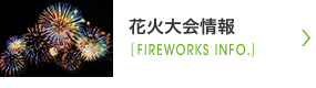 日本の海の花火大会情報