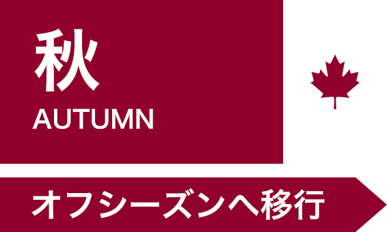 秋　オフシーズンへ移行