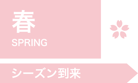 春　シーズン到来