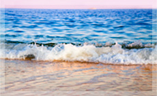 波が穏やかな時がおススメ！高い時は操船しない！