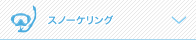 スノーケリング