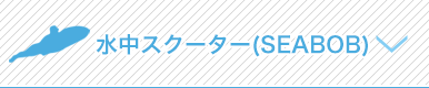 水中スクーター（SEABOB）