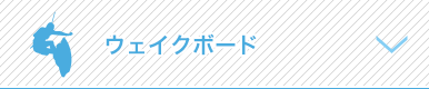 ウェイクボード