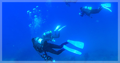 スクーバダイビングスポット