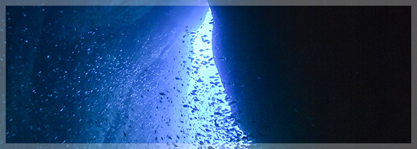 青海島（山口県）