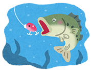 魚を取ったり、人の食べるものを与えないようにしましょう！