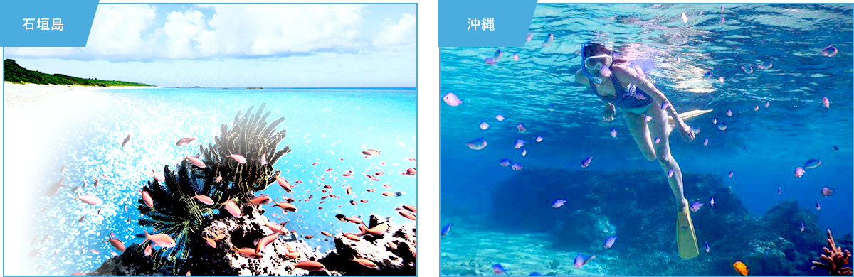 体験ツアーなどでお勧めのスポットに行きましょう！