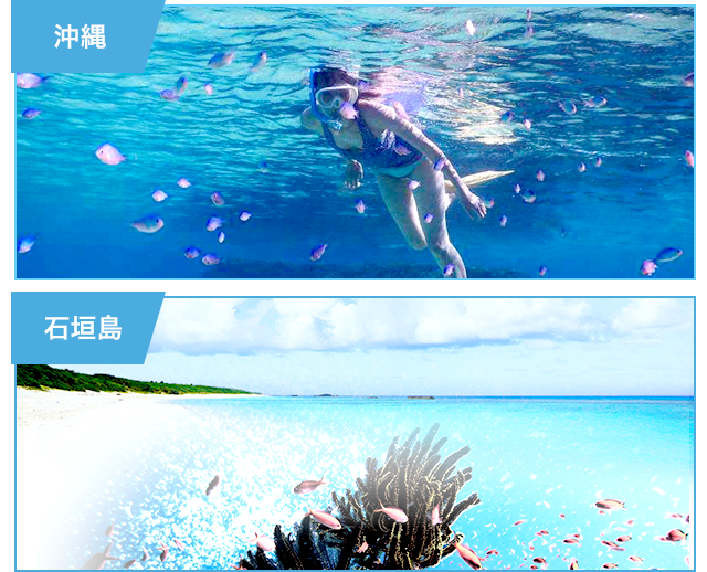 体験ツアーなどでお勧めのスポットに行きましょう！