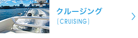 クルージング