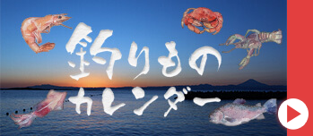 釣りものカレンダー