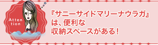『サニーサイドマリーナウラガ』は、便利な収納スペースがある！