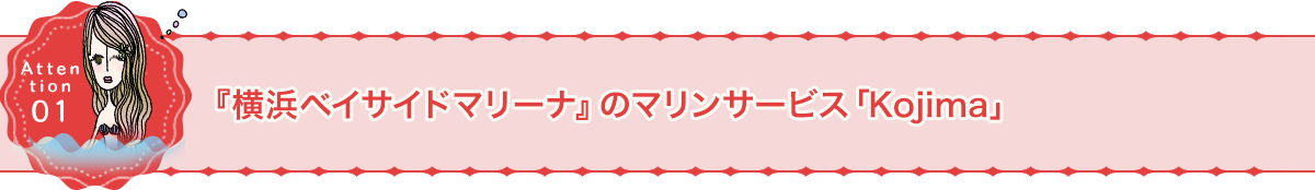横浜ベイサイドマリーナのマリンサービス『kojima』